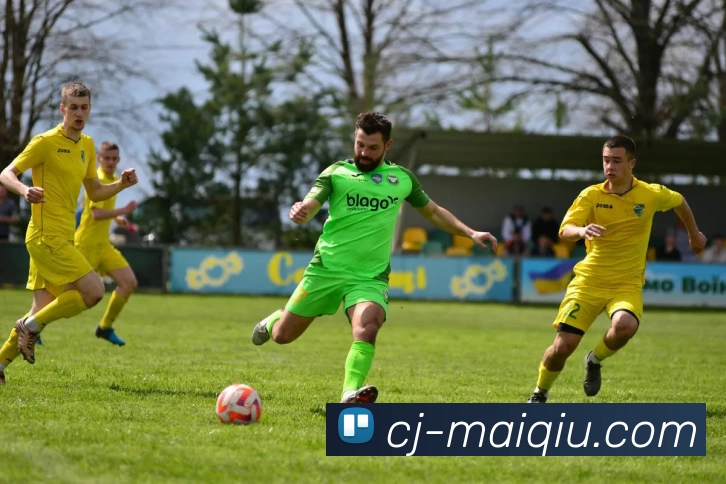 买球赛事预测平台生态图